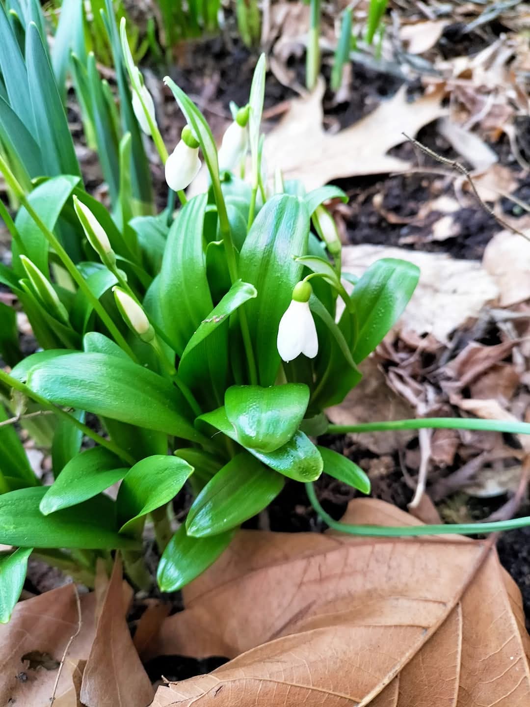 Gemeinsames Erlebnis in der Natur